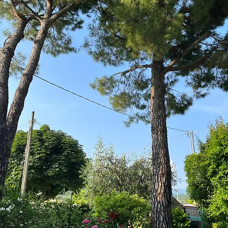 Appartement Mulino