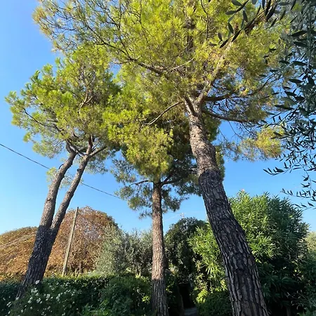 Mulino Garde