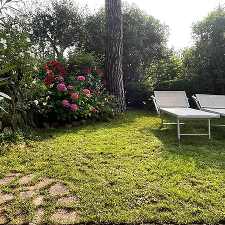 Mulino アパート ガルダ