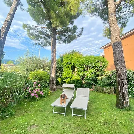 Mulino アパート *